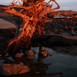 Jekyll Island